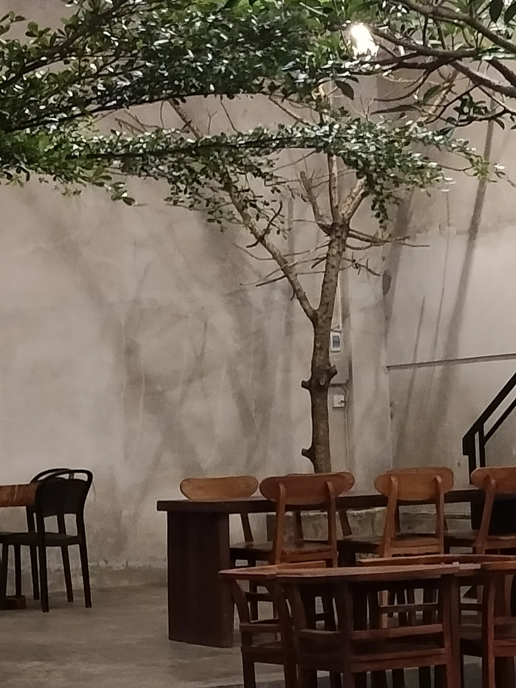 Suasana Indoor Tree Atrium Lunggoeh